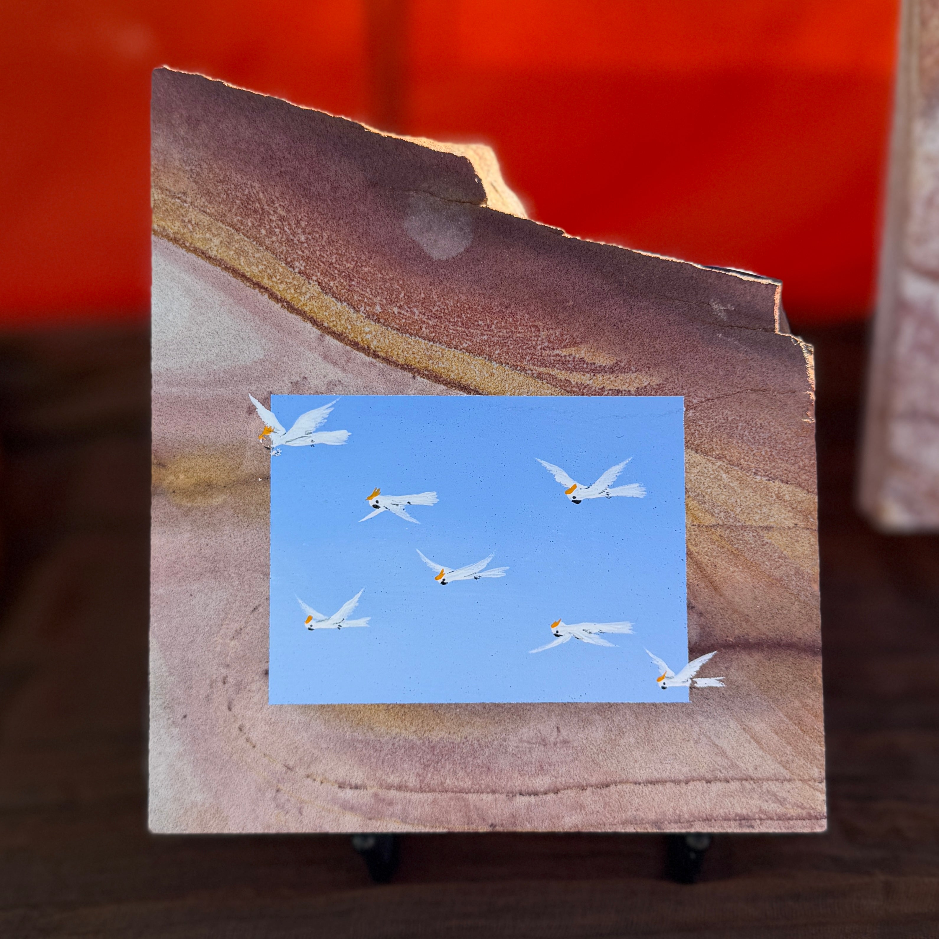 Cockies in Flight - Kimberley Colour Stone