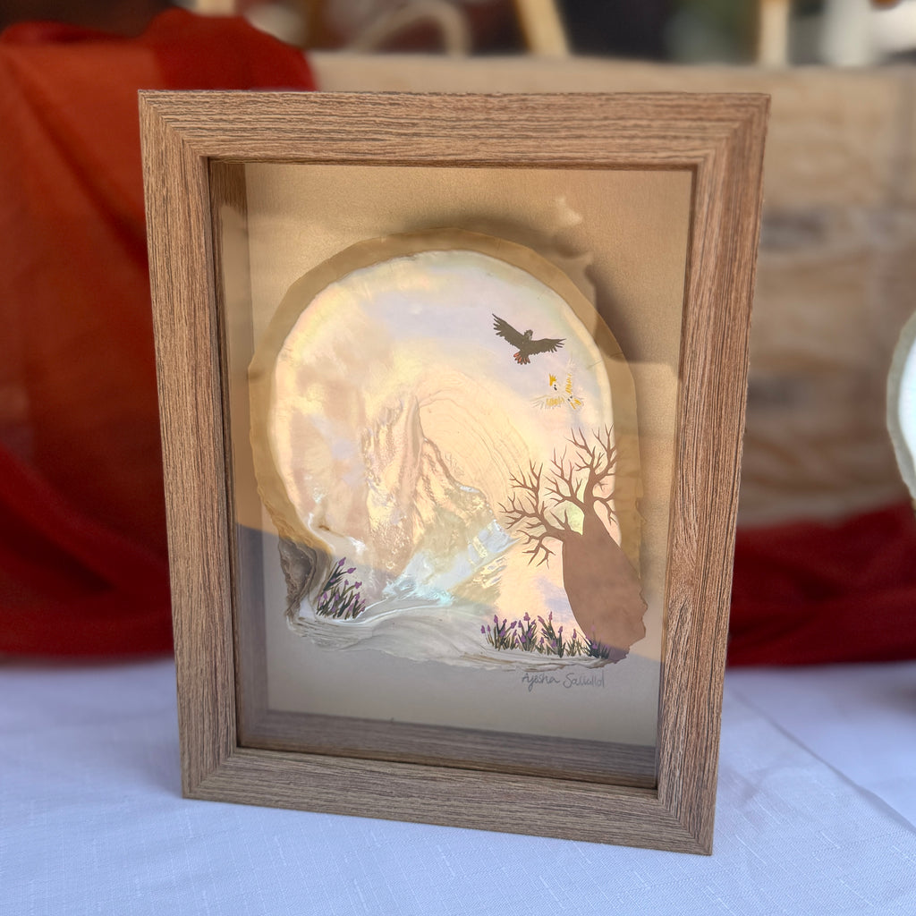 Broome Pearl Shell - framed