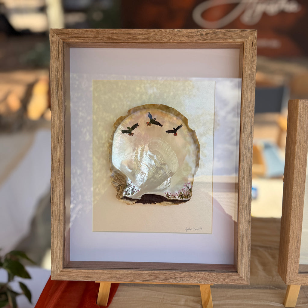 Broome Pearl Shell