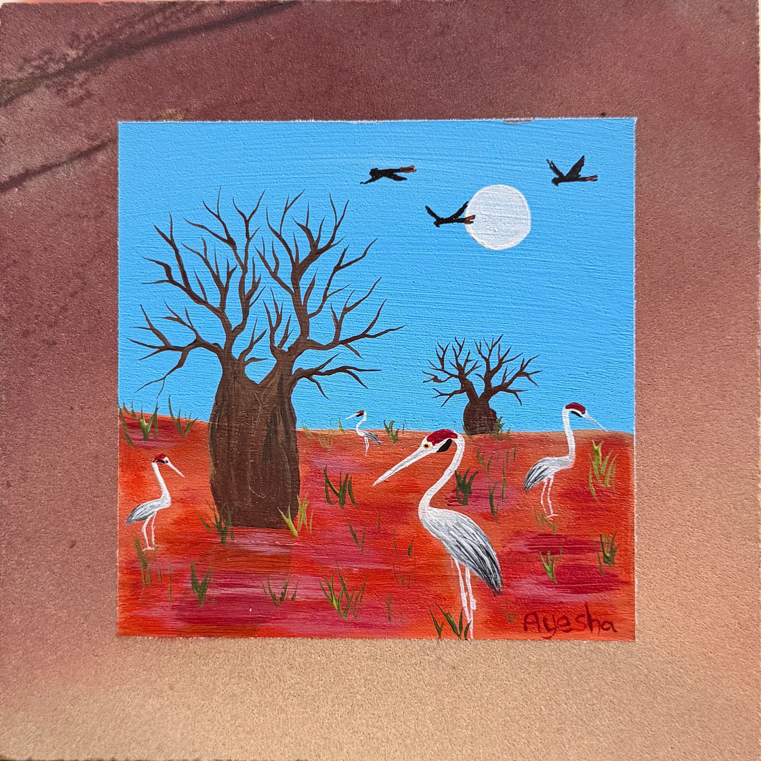 Brolga Delight - Kimberley Colour Stone