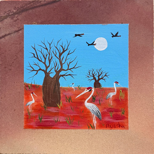 Brolga Delight - Kimberley Colour Stone