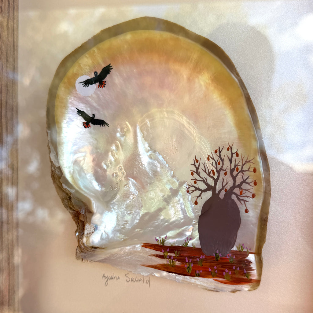 Broome Pearl Shell - framed