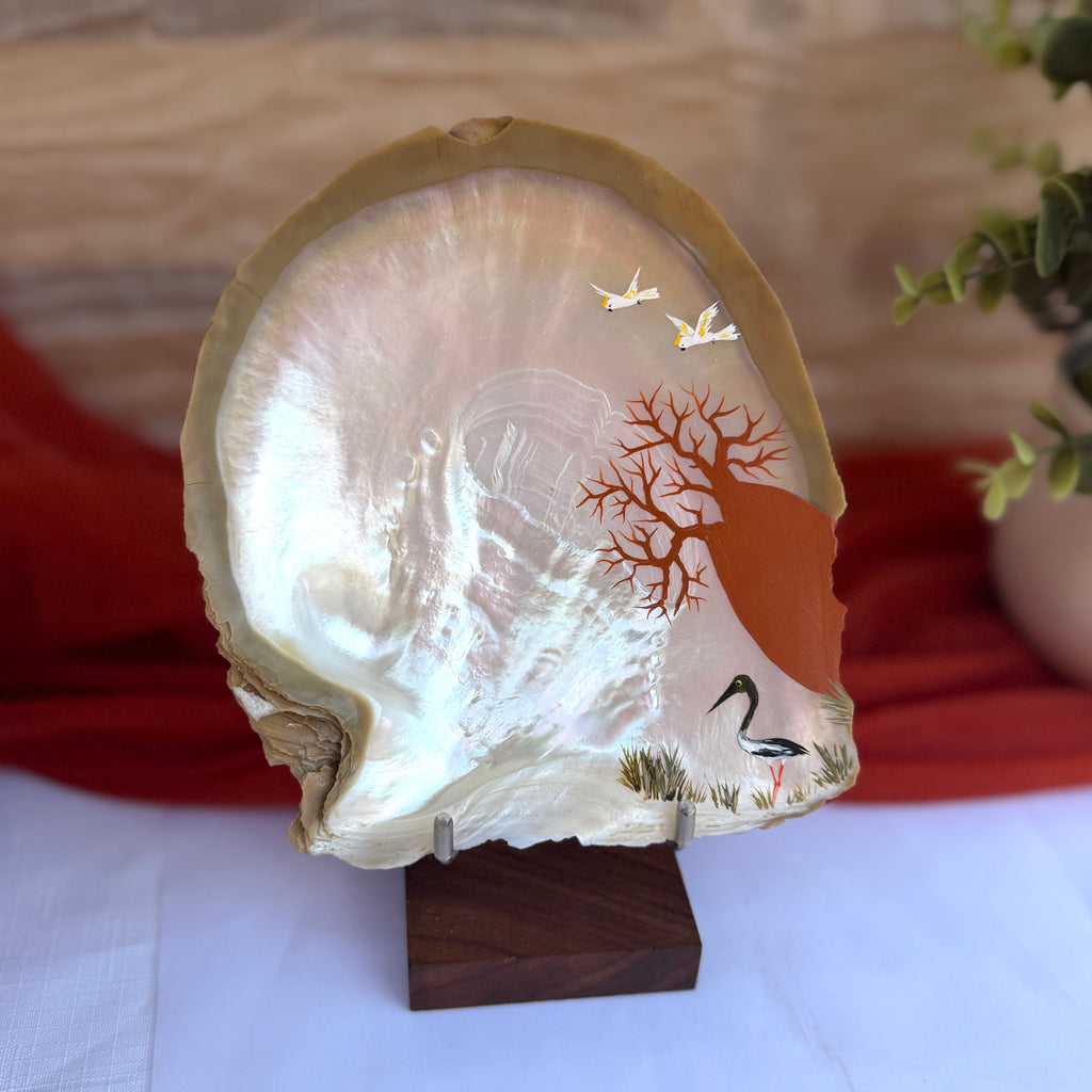 Broome Pearl Shell