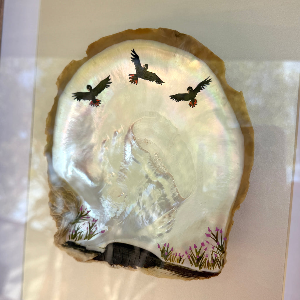 Broome Pearl Shell