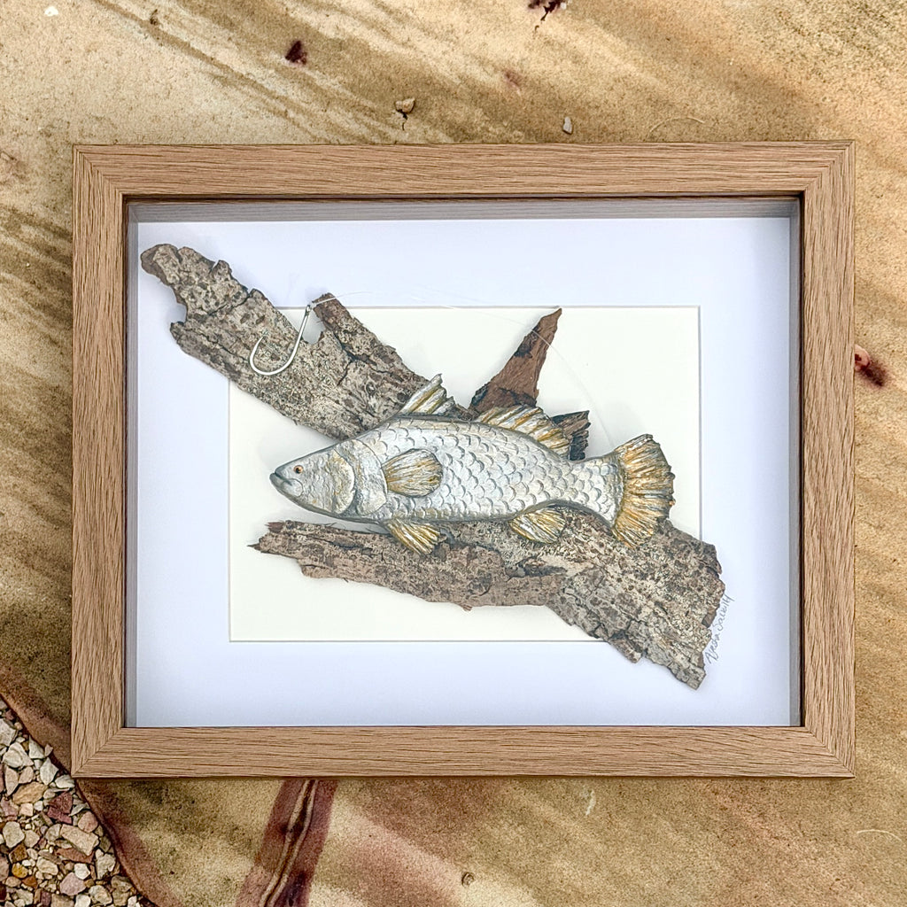 Barra on Driftwood
