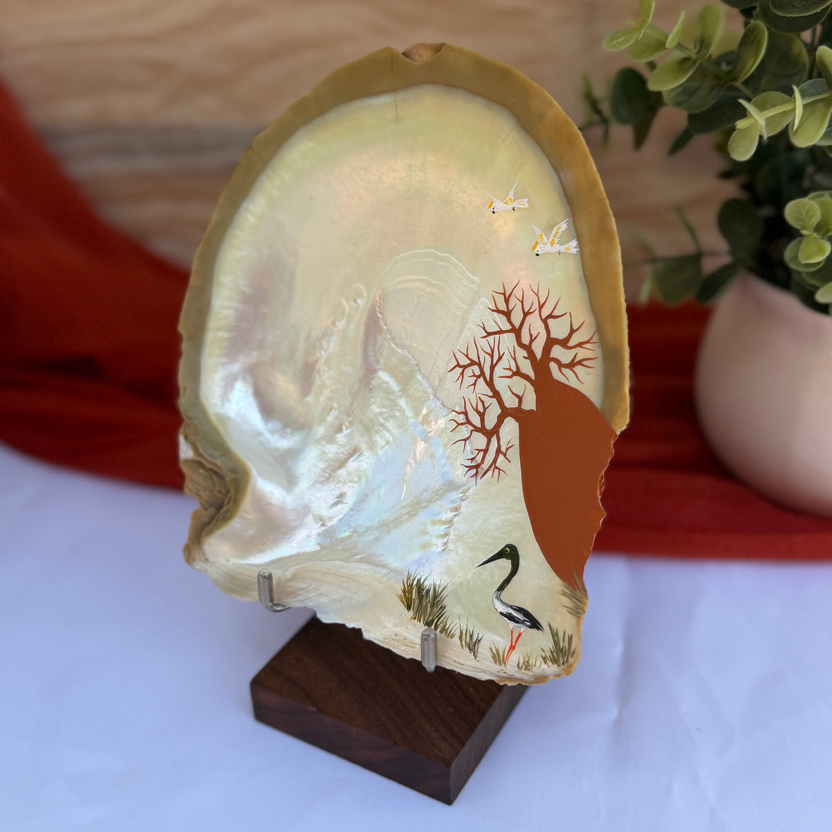 Broome Pearl Shell