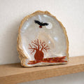 Broome Pearl Shell
