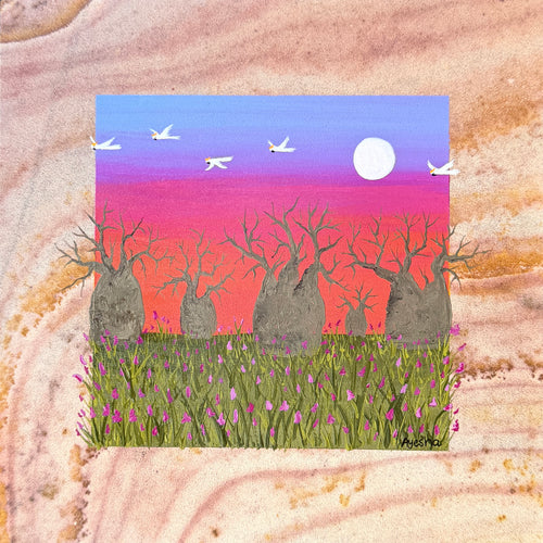Boab Sunset