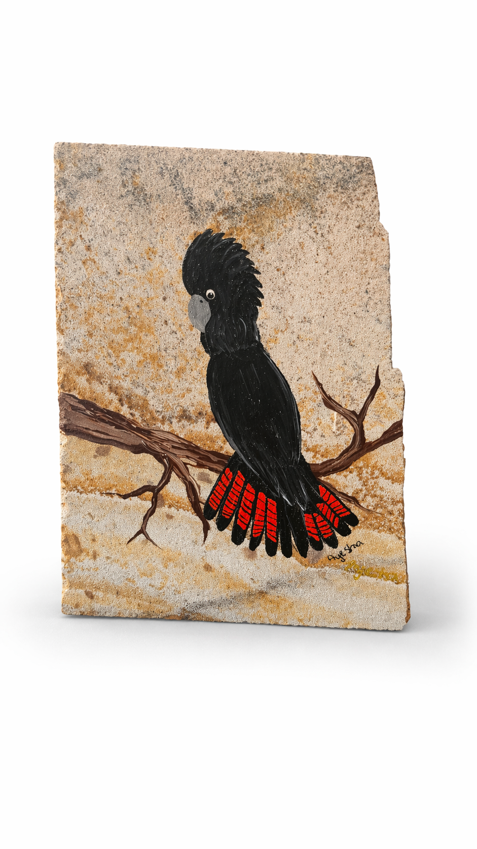 Red Tailed Cockatoo