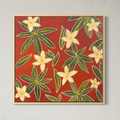 Blooming Boab Flowers
