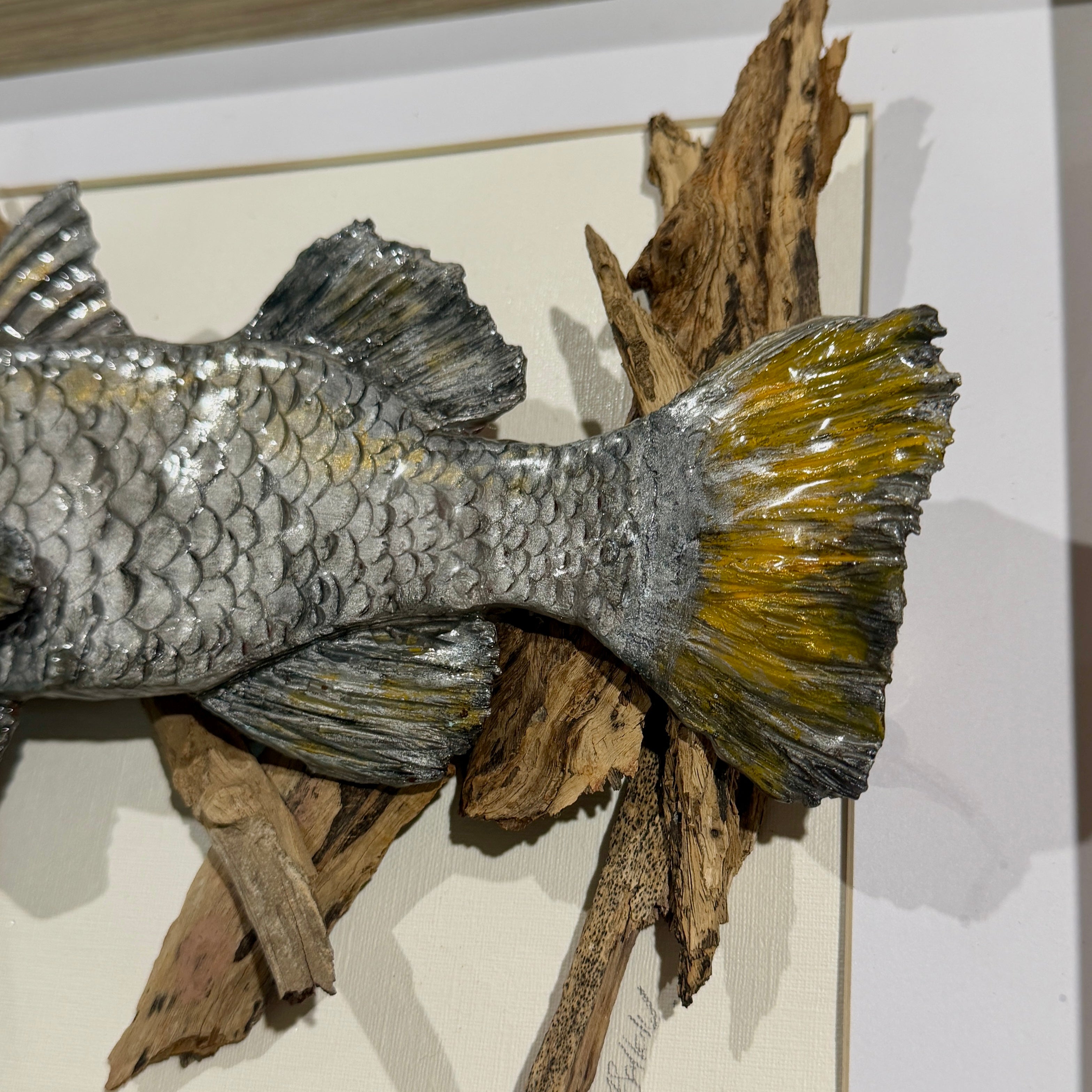 Driftwood Barramundi