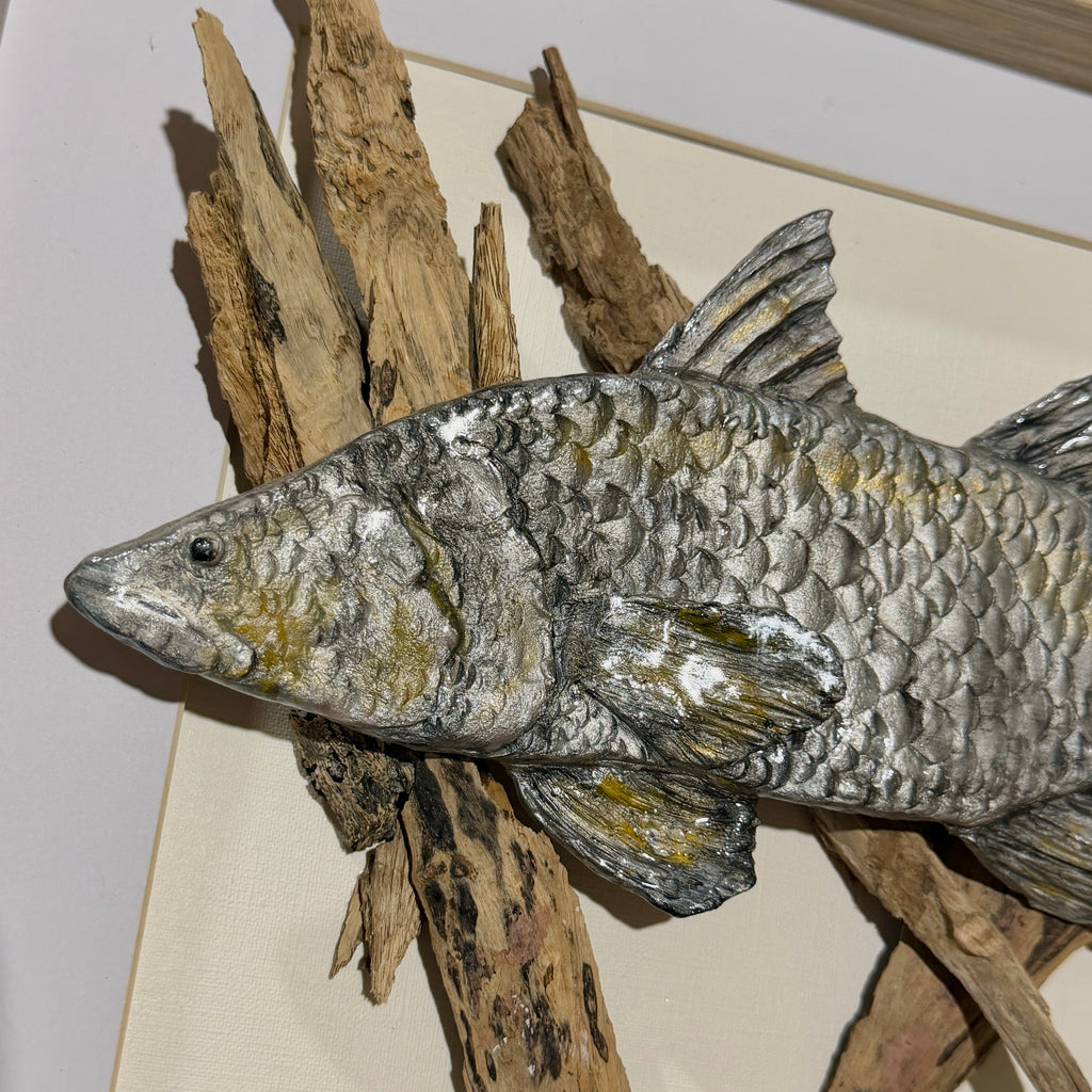 Driftwood Barramundi