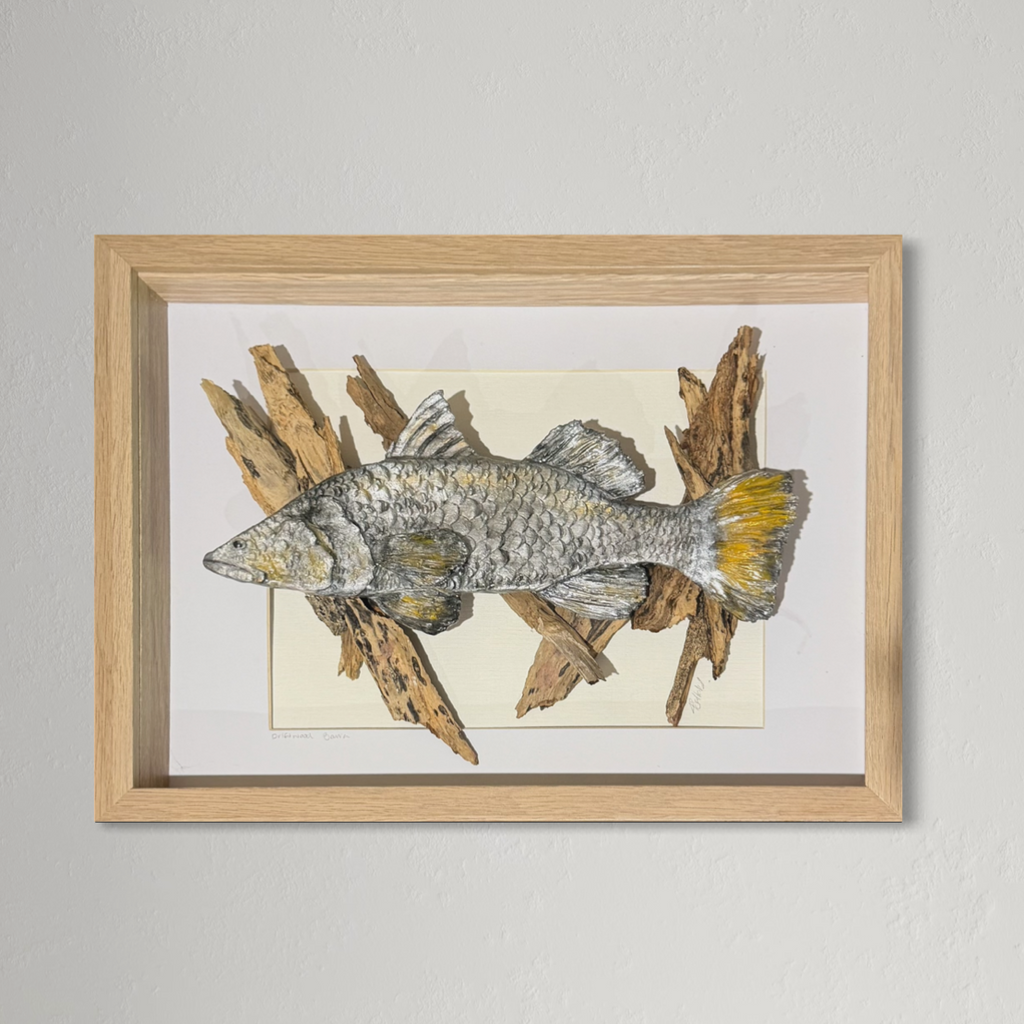 Driftwood Barramundi