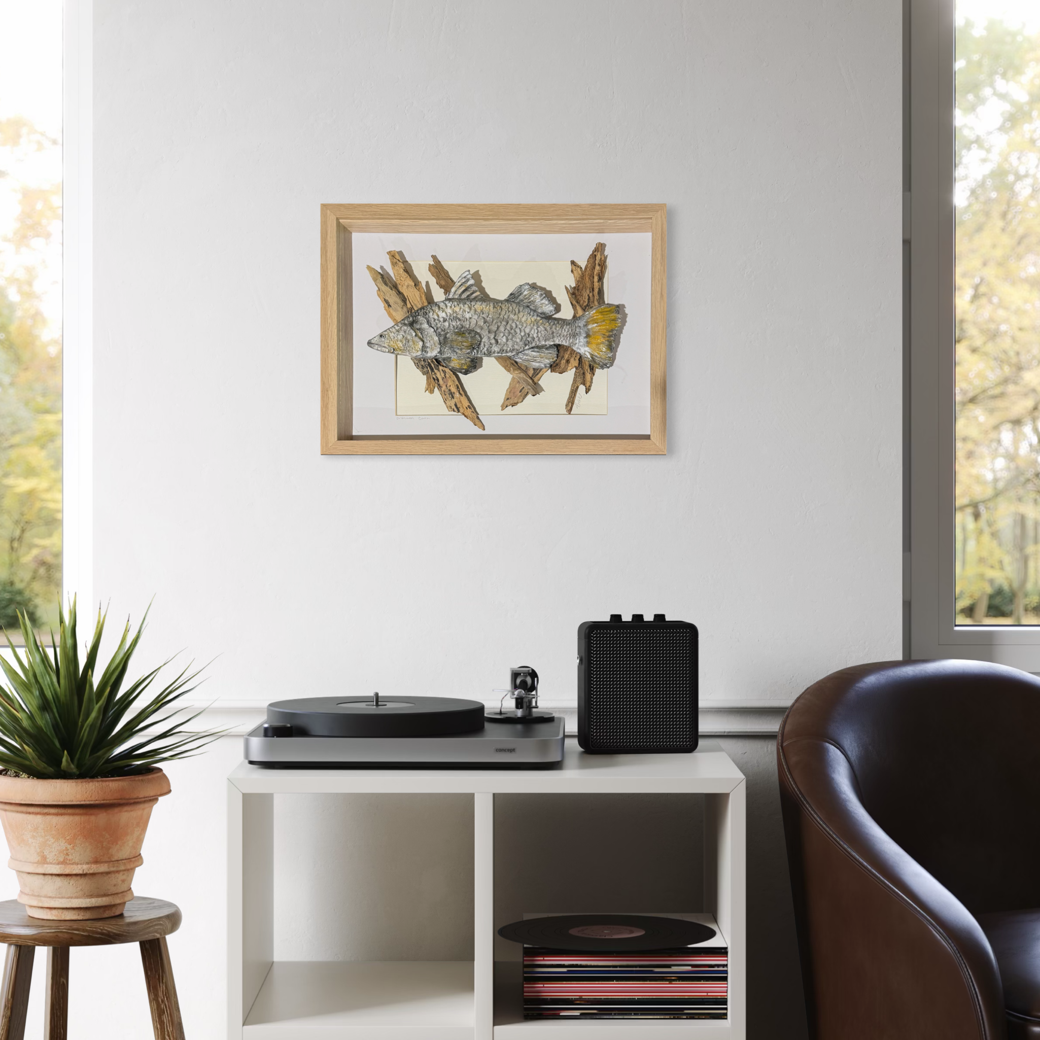 Driftwood Barramundi