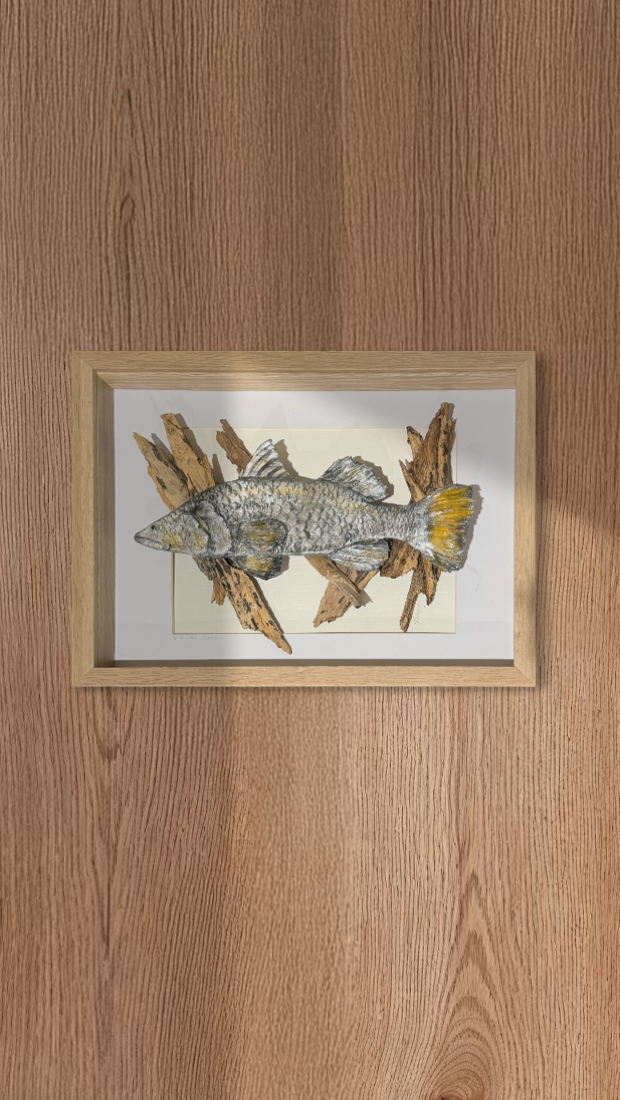 Driftwood Barramundi